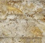 SCABOS TRAVERTINE 2×12 ASPENDOS CHAIRRAILS HONED 77-385 SQUAREFOOT FLOORING - MISSISSAUGA - TORONTO - BRAMPTON