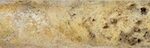 SCABOS TRAVERTINE MINI PENCIL HONED 77-354