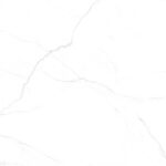 ADEN-GRAY_R6.jpg