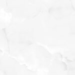 EX-221-ONYX-WHITE-R10.jpg
