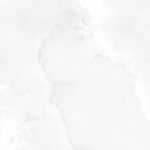 EX-221-ONYX-WHITE-R3.jpg