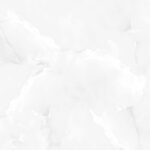 EX-221-ONYX-WHITE-R4.jpg