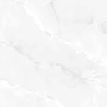 EX-221-ONYX-WHITE-R7.jpg