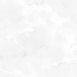 EX-221-ONYX-WHITE-R9.jpg