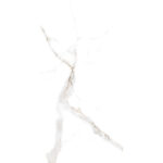 LEGEND-STATUARIO_5.jpg