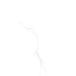 MOTION-P1-1.jpg