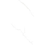 MOTION-P2.jpg