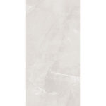 PIAS-SILVER_2.jpg