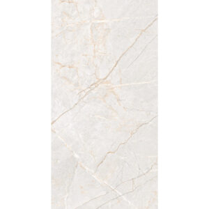 Club Ceramic Zebronic Moon Glossy Porcelain Tile 12" x 24"