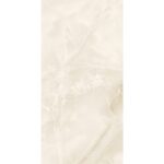 aagasiya-olive-5.jpg