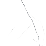 lincan-nero-r3.png
