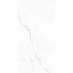 onyx-silver-light-p2.png